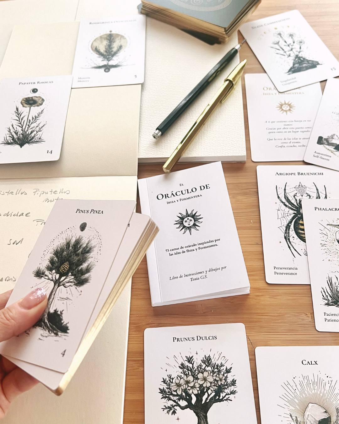 Detalle de las cartas ilustradas del oráculo